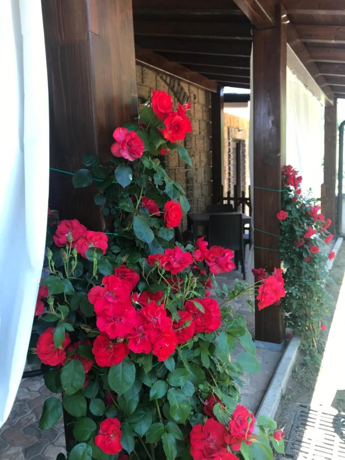 Agriturismo A Casa Di Susanna Santo Stefano del Sole Екстериор снимка