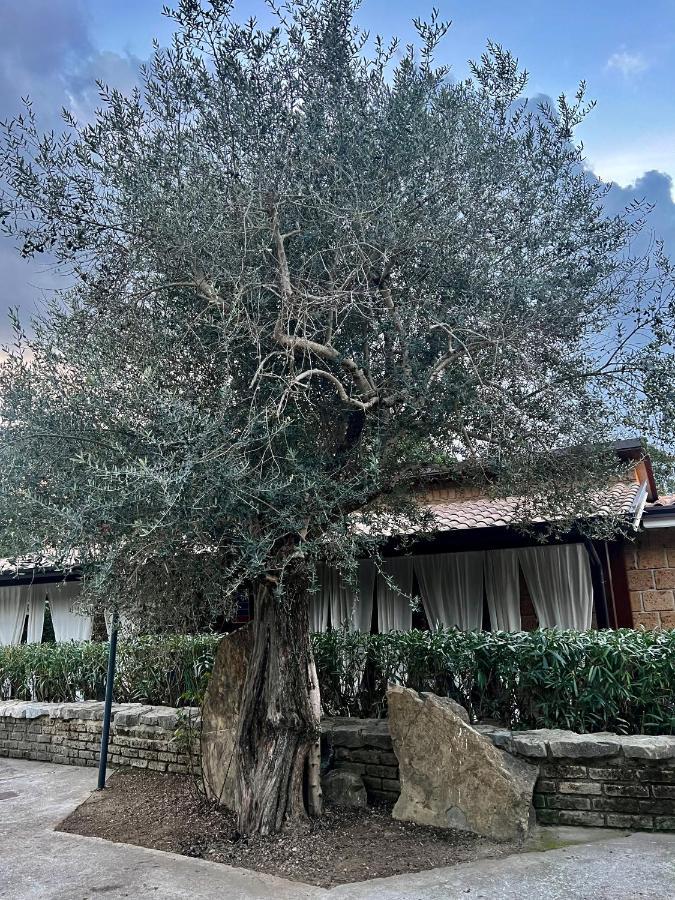 Agriturismo A Casa Di Susanna Santo Stefano del Sole Екстериор снимка