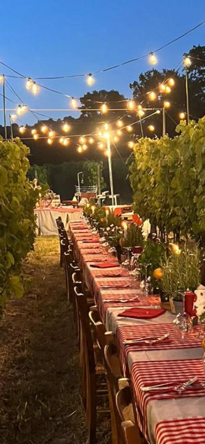 Agriturismo A Casa Di Susanna Santo Stefano del Sole Екстериор снимка
