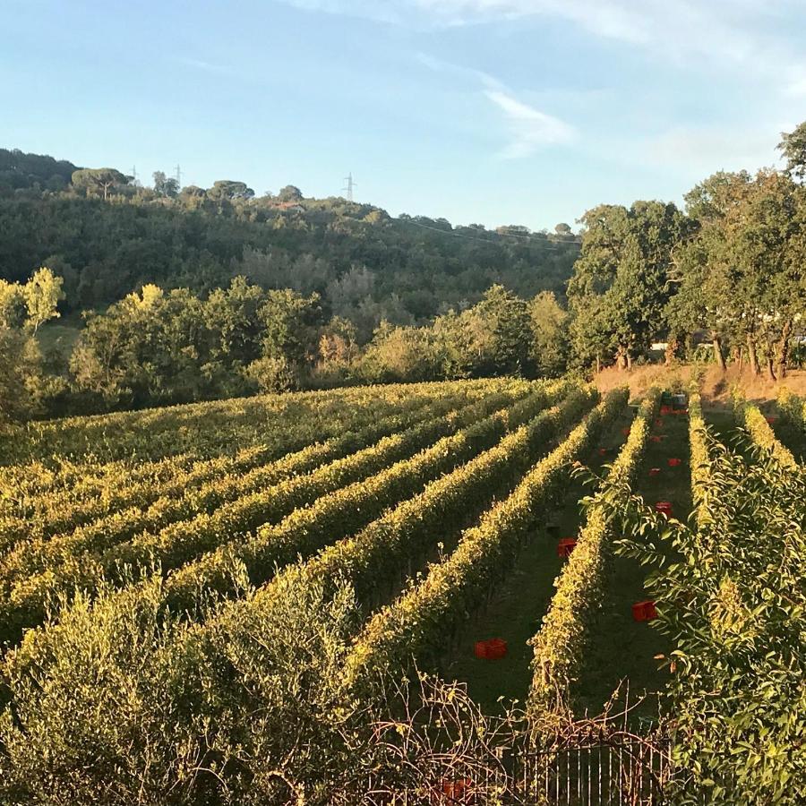 Agriturismo A Casa Di Susanna Santo Stefano del Sole Екстериор снимка