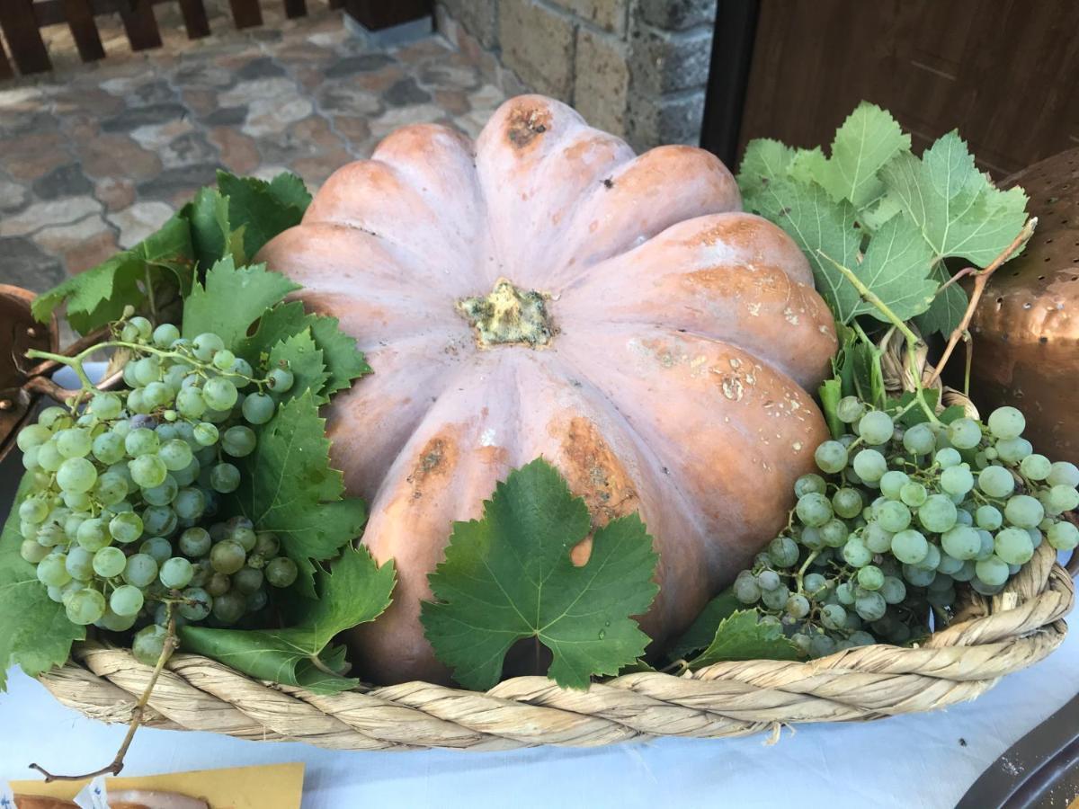Agriturismo A Casa Di Susanna Santo Stefano del Sole Екстериор снимка